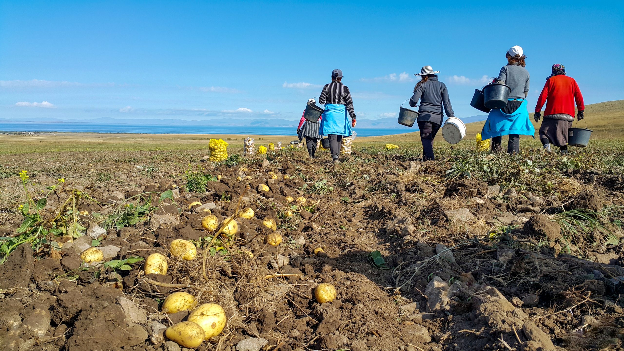 stop-abusive-farm-labor-contractors-nfwm