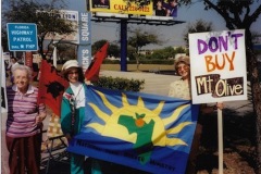 Mt Olive pickle protest, 1997