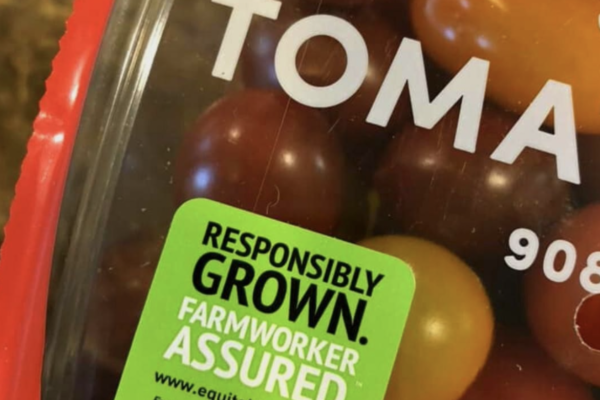 Tomatoes featuring the EFI Label. Photo courtesy of EFI.