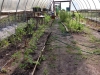 Campesino Garden6