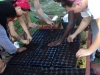 Campesino Garden9