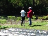 community_garden_10