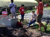 community_garden_2