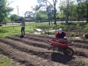 community_garden_5