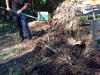 community_garden_6