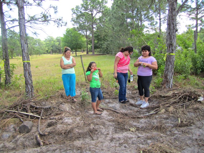 fellsmere-community-garden-076