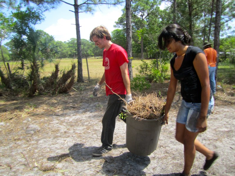 fellsmere-community-garden-105