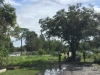 Fellsmere CG 38