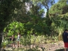 Fellsmere CG 31