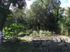 Fellsmere CG 37