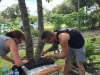 Fellsmere CG 33