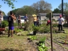 FWAF Fellsmere Garden 4