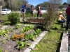FWAF Fellsmere Garden 5
