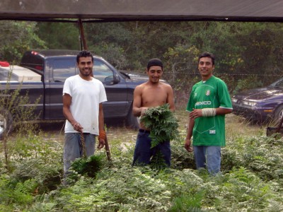 farm workers