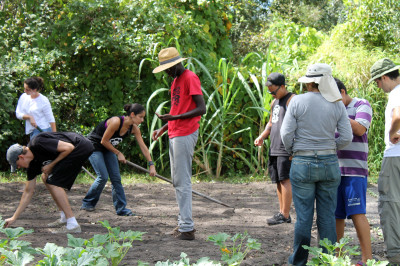 community garden 1