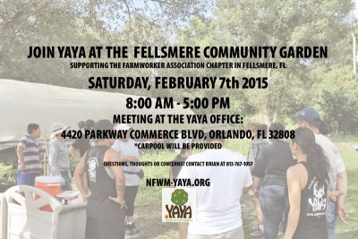 Fellsmere CG flyer (Jan15)