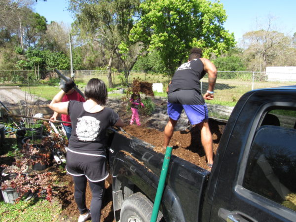 FWAF - Fellsmere Garden