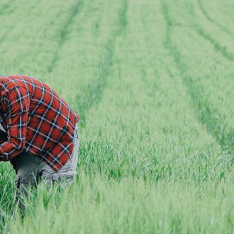 Advocates bring attention to racism rooted in farming across NC