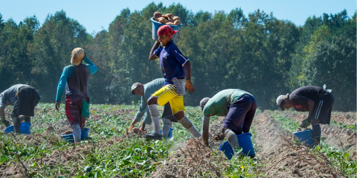 Farm Worker Fitness Blog Post Graphic